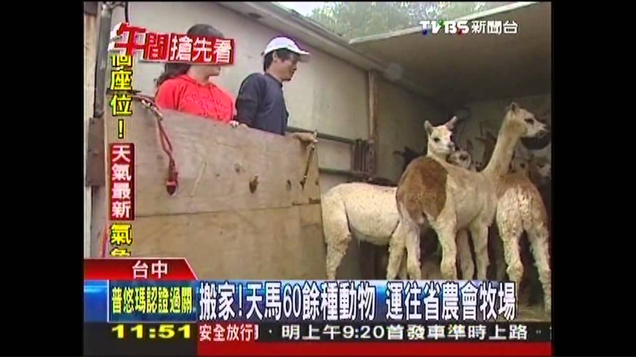 搬家！天馬60餘種動物　運往省農會牧場