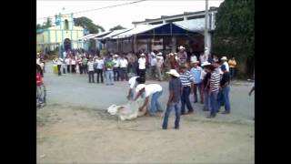 preview picture of video 'Almoloya Oaxaca Paseo del Toro Enero, 2011...Hecho MVM'