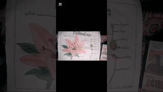 Download lagu Pollination to help plant to grow new seed #wgitachi #pollination #project #diyprojects mp3 Download lagu Pollination to help plant to grow new seed #wgitachi #pollination #project #diyprojects mp3