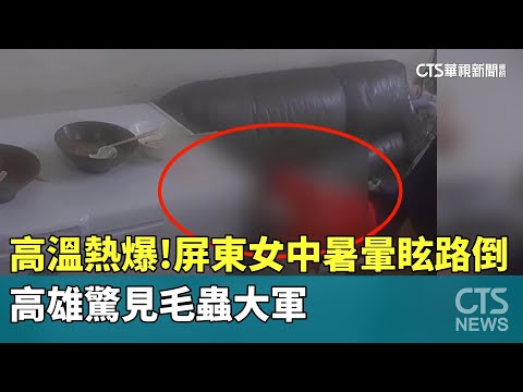 高溫熱爆！　屏東女中暑暈眩路倒　高雄驚見毛蟲大軍