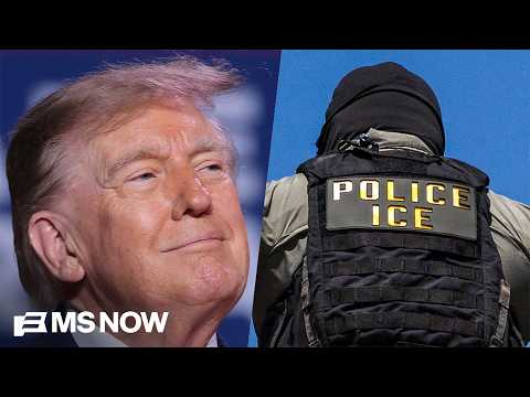 'An absolute SMOKING GUN': Shocking documents reveal Trump using ICE to investigate elections