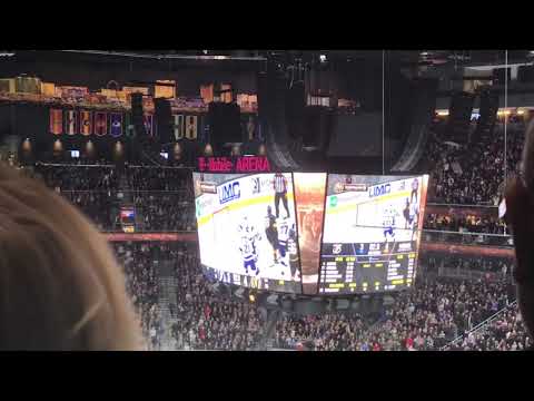 Vegas Golden Knights vs the Tampa Bay Lightning (amazing last second goal by James Neal)!!!