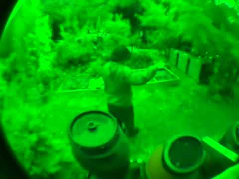 qnsriyan Music Video