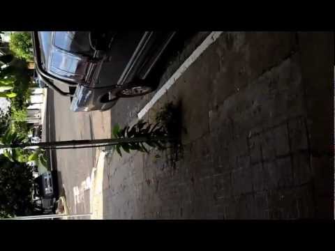 Walking down the street in Campo Grande