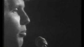 Phoenix - John Walker