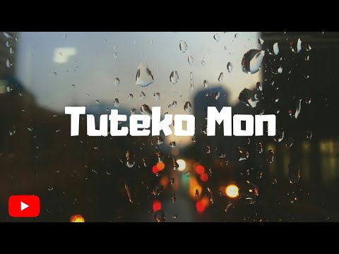Tuteakomon By Raiba $ Aknox