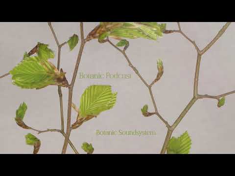 Botanic Podcast  /// Botanic Soundsystem