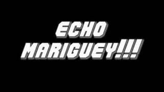 AVULSED INTERPRETACION