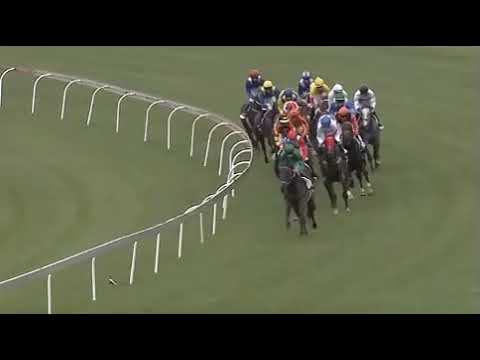 NATIONAL PARK - 2019 Gauteng Guineas(Gr2)