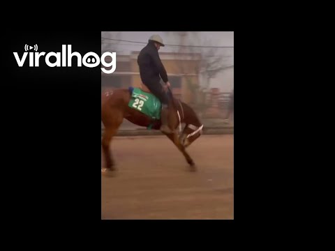 Bucking Horse in the Front of a Horse Raid || ViralHog