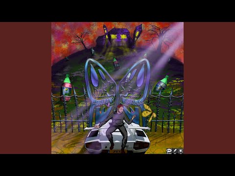 Video thumbnail for Zebobba