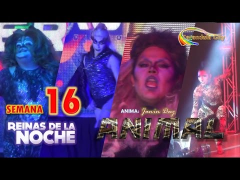 REINAS DE LA NOCHE / SEMANA 16 - CANAL FARANDULA GAY