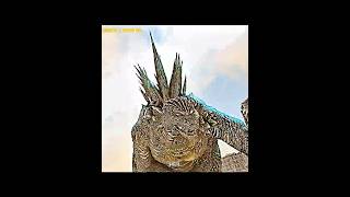 Download lagu Don't underestimate the attitude of Godzilla || Godzilla attitude π₯ || #godzilla #shorts #ytshorts mp3 Download lagu Don't underestimate the attitude of Godzilla || Godzilla attitude π₯ || #godzilla #shorts #ytshorts mp3