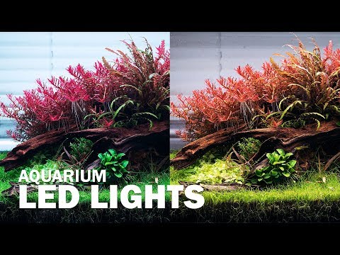 DIFFERENT LED LIGHTS ON OUR AQUASCAPE - AQUARIUM LIGHTING FOR YOUR AQUARIUM PLANTS