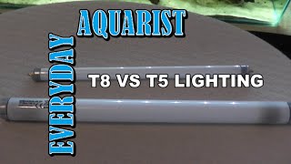 Difference between T8 and T5 Aquarium Lighting Explained