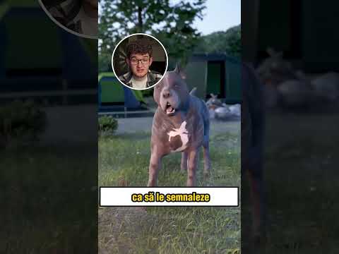 DOGS are the STRONGEST (Alex Hada Reacts) #shorts