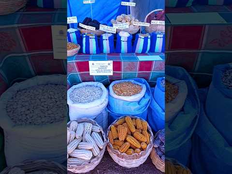 FERIA DEL MAIZ Y SU DERIVADOS, COMUNIDAD KASPICANCHA, Municipio Las Carreras Chuquisaca.