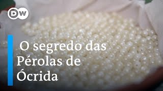 Miniatura do vídeo
