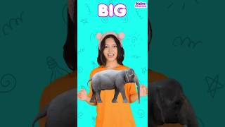 Download lagu This Is Big Big Big | Learn Opposites Song for Kids #preschoolsongs #oppositewords mp3