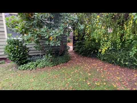 14 James Street, Millgrove, VIC 3799, 3 ਕਮਰੇ, 1 ਬਾਥਰੂਮ, House