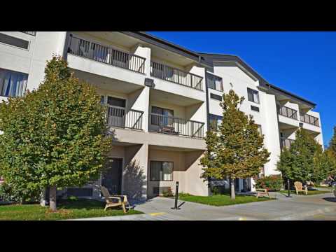 Best Western Plus Country Inn & Suites - Dodge City (Kansas) - United States