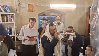 תקיעת החצוצרות היום בקבר בנימין בן יעקב - הרב שלמה בצרי