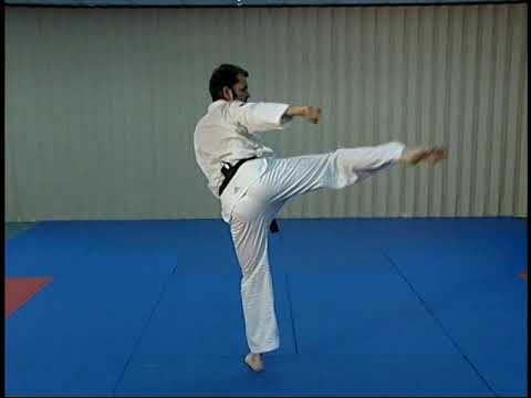 TAE KWON DO FORMS "HWA-RANG"