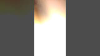 Download lagu Orang kerdil anjai mp3