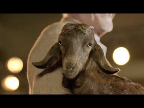 VivaCell-MTS supports the Armenian Agriculture 04