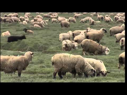 Reisen für Genießer    Frankreich  Picardie