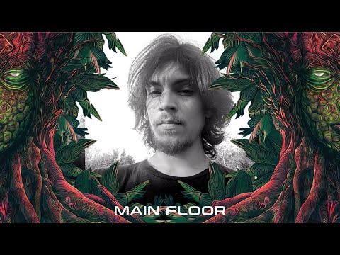 PLEXIGO @ Wonderland Festival 2025 (Twilight Forest Psytrance) • DJ-Set • Mainfloor