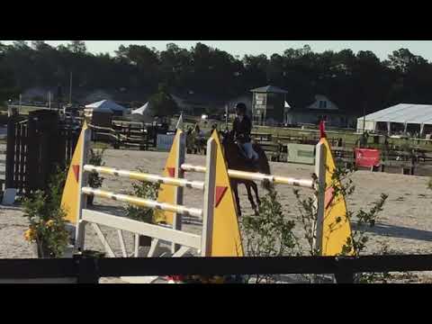 Harakiri Z - Aiken Classic Company $25k - 4th place