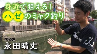 身近で狙える！ハゼのミャク釣り