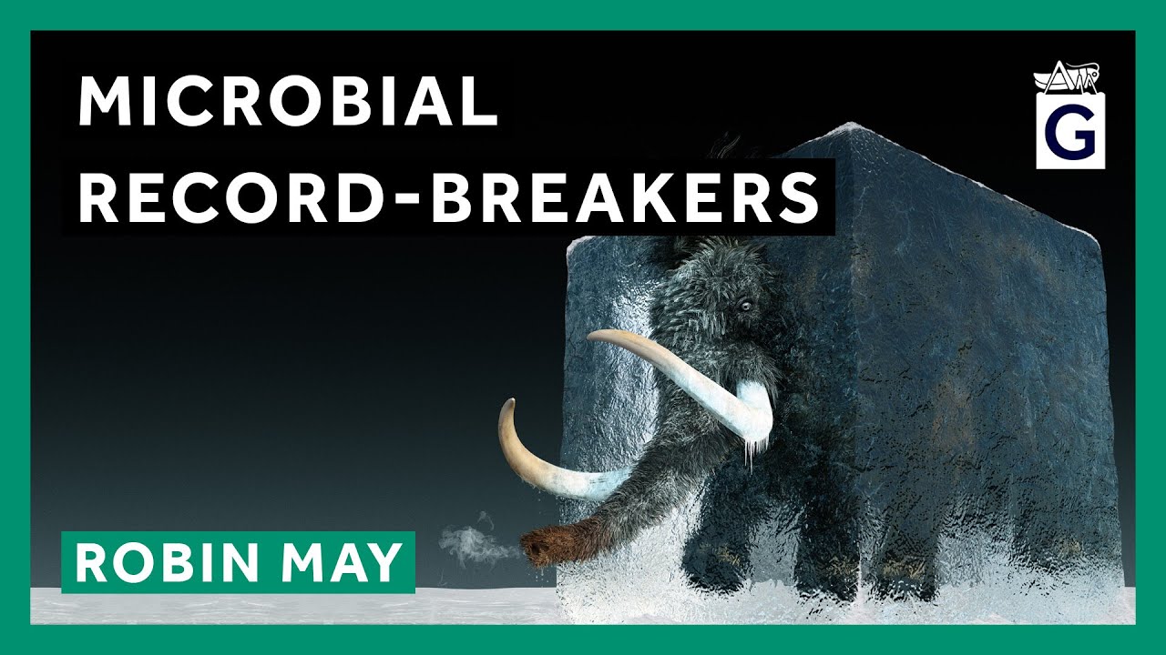 Microbial Record-Breakers