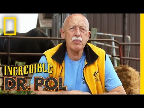 It's Time for a Refill - Season 2, Episode 1 | Coffee Break With Dr. Pol