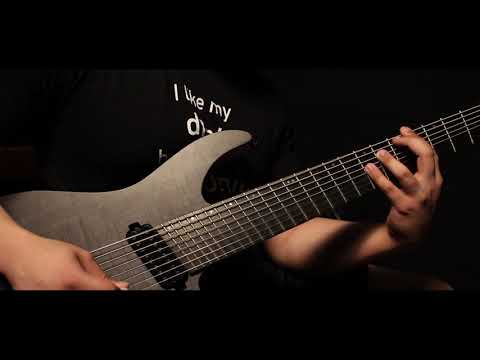 Andromida - 64 (METALBIRB Cover/Recreation) // Progressive Metal Video