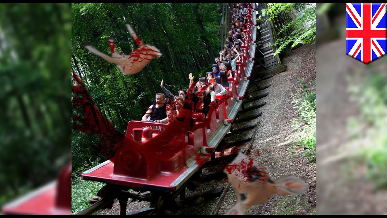 Putar video Roller coaster sa Europe, pinugutan ng ulo ang isang usang napadpad sa riles! sekarang Roller coaster sa Europe, pinugutan ng ulo ang isang usang napadpad sa riles!