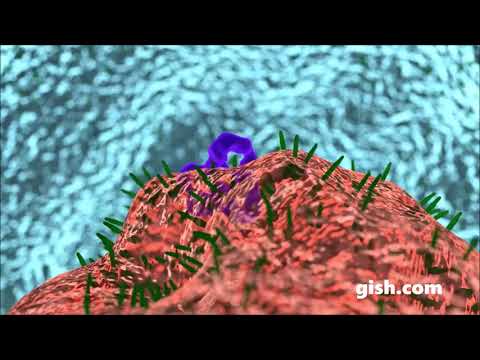 YouTube video