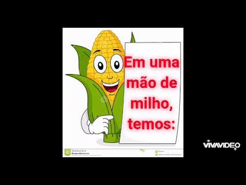 Unidades, Dezenas e Centenas