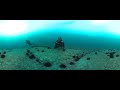 Urchin Diaries Tasmania Ep 1