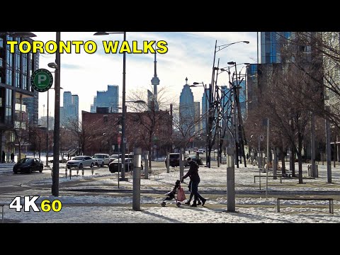 Toronto River Street & North Riverdale Walk on February 4, 2021