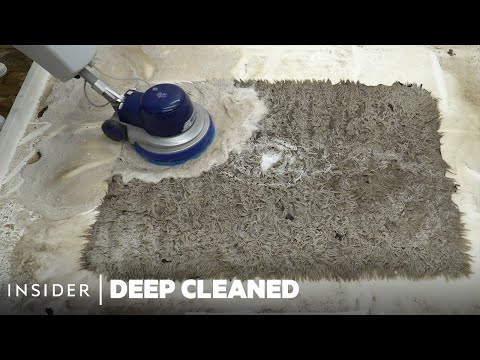 Cleaning a Disgusting Rug Infested with Worms