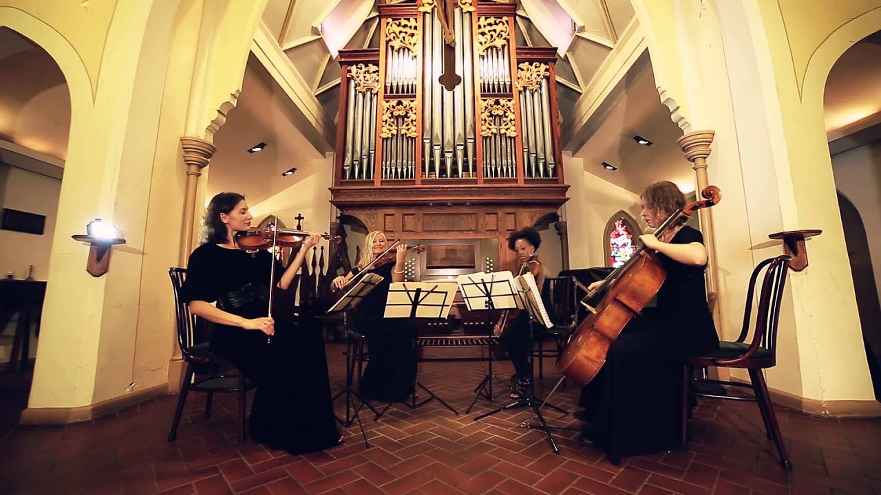 Promotional video thumbnail 7 for Stellar Strings