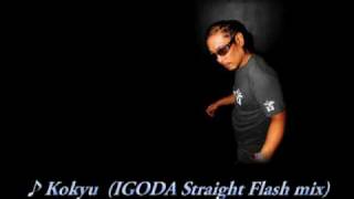 kokyu (IGODA Straight Flash mix)IGODA vs.DJ OKI feat.IZUMI