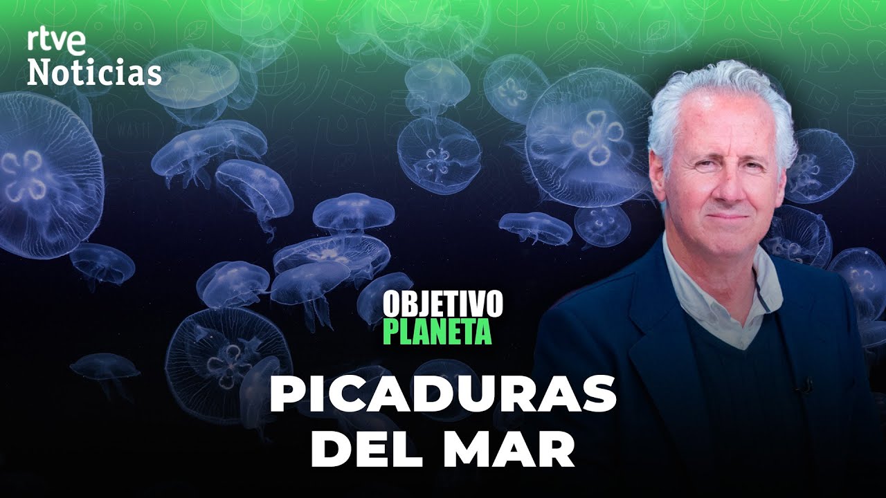 OBJETIVO PLANETA: LORENZO MILÁ y las PICADURAS de los SERES MARINOS | RTVE Noticias