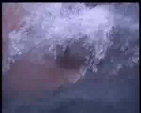 Human Polar Bear Goes Head To Head With Shell