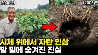 Download lagu '사람 고기를 먹고 자란 인삼': 평창 마을 인삼밭 밑에서 발견된 이중 매장의 끔찍한 비밀. / 오디오북 / 살인 사건 mp3