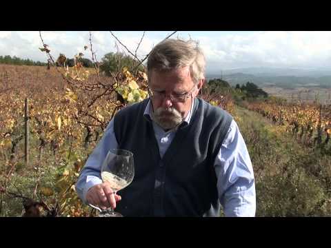 Dégustation Oppidum 2010