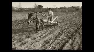 Mercy Dee Dark Muddy Bottom (SPECIALTY 481) (1953)