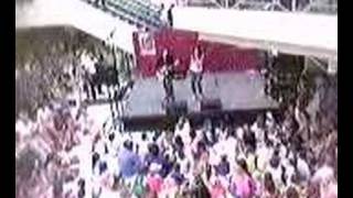 RICKI LEE Equstic Hell No